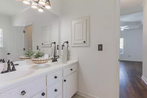 Bath - 132 Post Oak Dr, Brandon, MS 39047 photo 2 of 8
