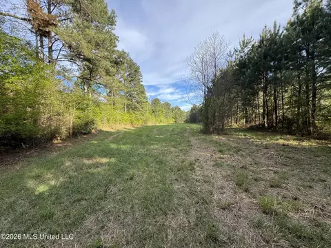1311 N Jackson St # A, Brookhaven, MS 39601 photo 2