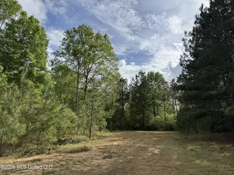 1311 N Jackson St # A, Brookhaven, MS 39601 photo 48