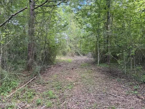 1311 N Jackson St # A, Brookhaven, MS 39601 photo 22