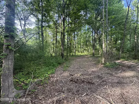 1311 N Jackson St # A, Brookhaven, MS 39601 photo 36