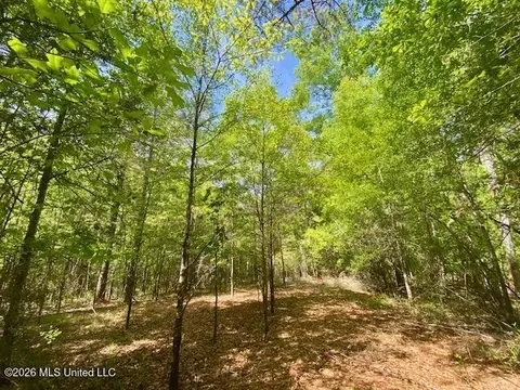 W Smith Ferry Road, Sontag, MS 39665 photo 4