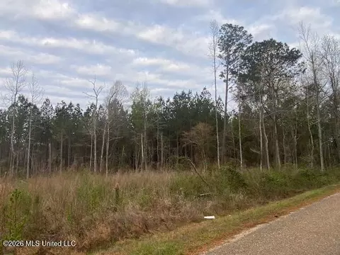 W Smith Ferry Road, Sontag, MS 39665 photo 5