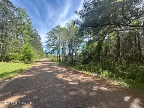 W Smith Ferry Road, Sontag, MS 39665 photo 2