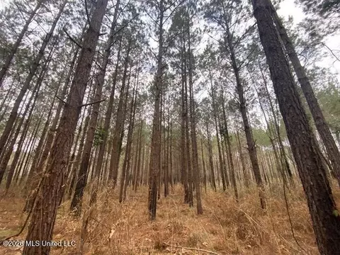W Smith Ferry Road, Sontag, MS 39665 photo 8