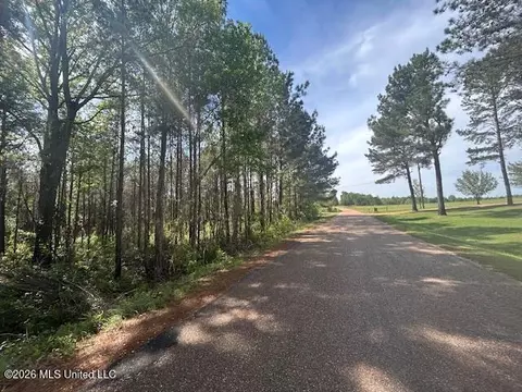 W Smith Ferry Road, Sontag, MS 39665