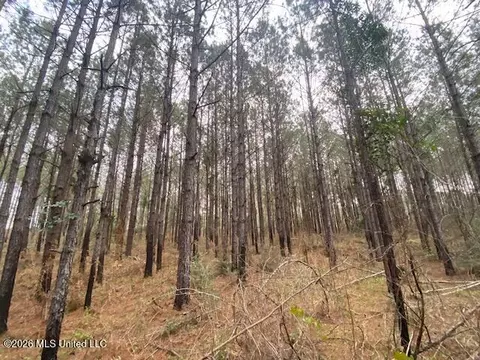 W Smith Ferry Road, Sontag, MS 39665 photo 9