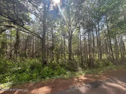 W Smith Ferry Road, Sontag, MS 39665 photo 3