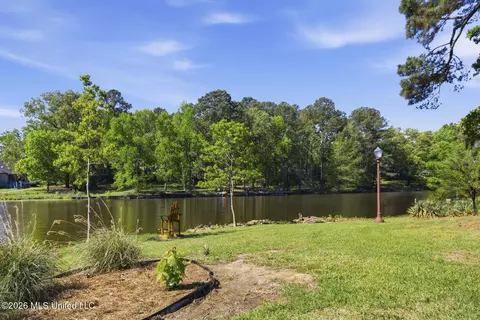 View/Area - 481 Cheyenne Ln, Madison, MS 39110 photo 3 of 4