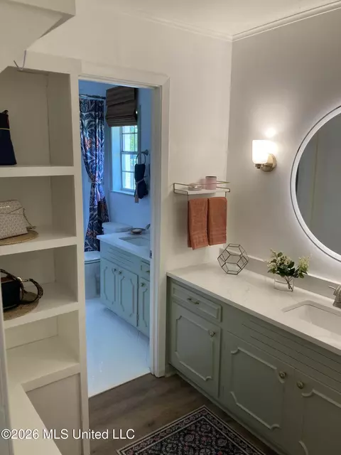 Bath - 481 Cheyenne Ln, Madison, MS 39110 photo 6 of 7