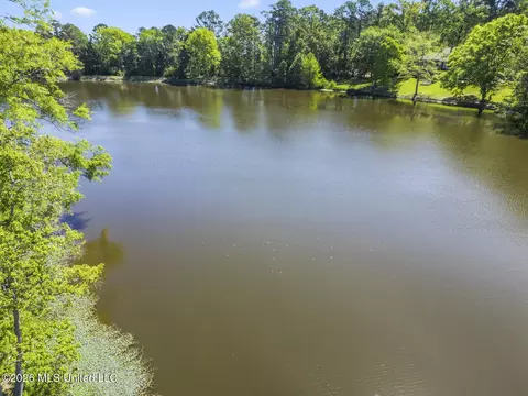 View/Area - 481 Cheyenne Ln, Madison, MS 39110 photo 4 of 4