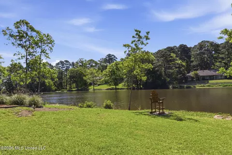 View/Area - 481 Cheyenne Ln, Madison, MS 39110 photo 1 of 4