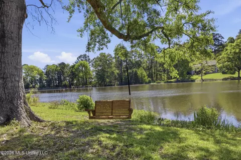 Other - 481 Cheyenne Ln, Madison, MS 39110 photo 15 of 15
