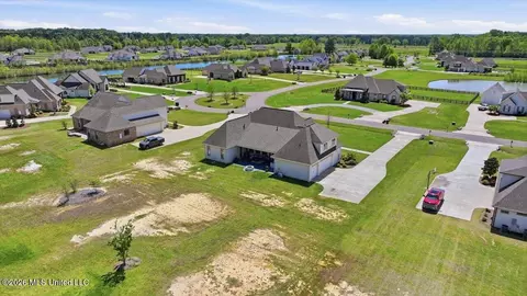 View/Area - 180 Crossview Pl, Brandon, MS 39047 photo 16 of 17