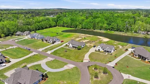 View/Area - 180 Crossview Pl, Brandon, MS 39047 photo 7 of 17