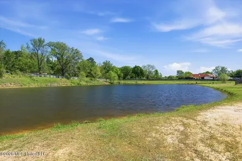 View/Area - 180 Crossview Pl, Brandon, MS 39047 photo 1 of 17