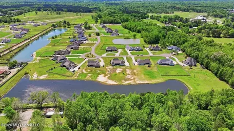 View/Area - 180 Crossview Pl, Brandon, MS 39047 photo 11 of 17