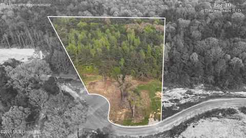 10 Tyro Branch Cv, Senatobia, MS 38668