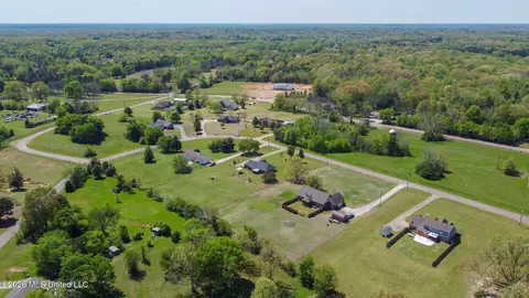 View/Area - 5780 Honey Oak Dr, Hernando, MS 38632 photo 5 of 7