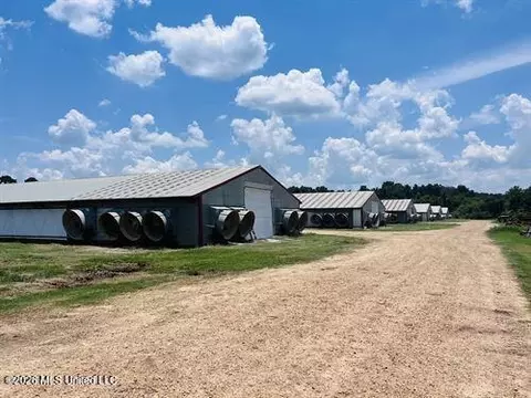 1097 SW Montgomery Rd, Bogue Chitto, MS 39629