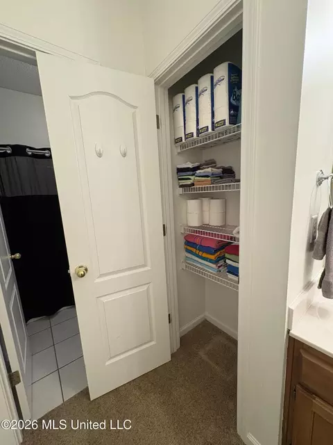 Other - 925 Cedar Grove Pkwy, Hernando, MS 38632 photo 8 of 13