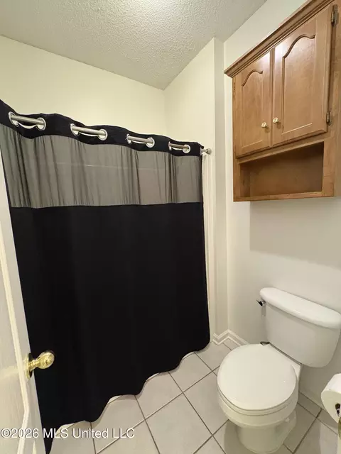 Bath - 925 Cedar Grove Pkwy, Hernando, MS 38632 photo 3 of 5