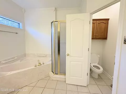 Bath - 925 Cedar Grove Pkwy, Hernando, MS 38632 photo 2 of 5