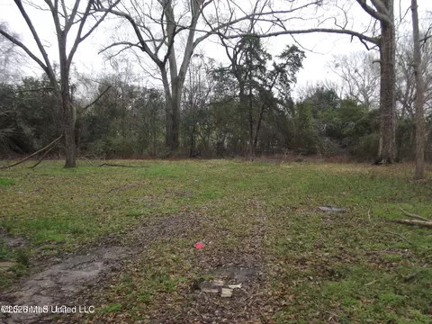 132 Mount Carmel Dr, Natchez, MS 39120 photo 8