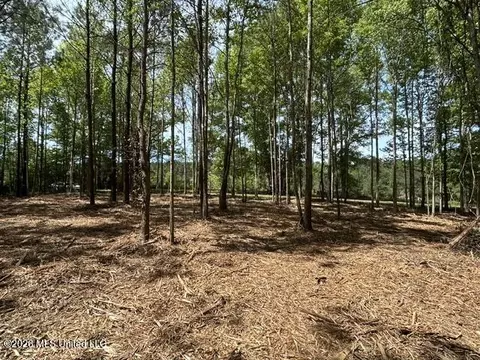 Parcel 3 Stovall Lane, Summit, MS 39666 photo 3