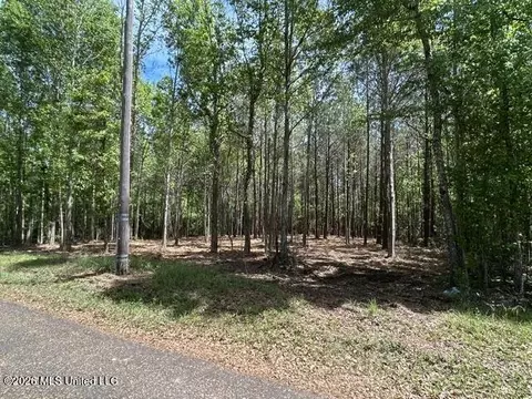 Parcel 4 Stovall Lane, Summit, MS 39666 photo 6