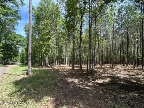 Parcel 4 Stovall Lane, Summit, MS 39666 photo 5