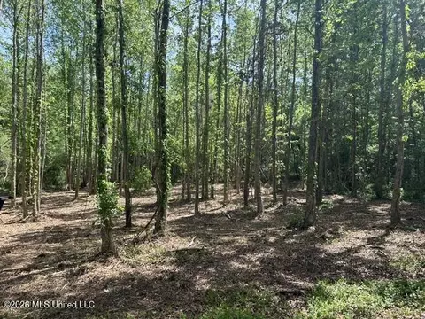 Parcel 4 Stovall Lane, Summit, MS 39666 photo 2