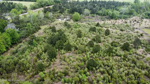 6201 Wesley Powell Rd, Lucedale, MS 39452 photo 15