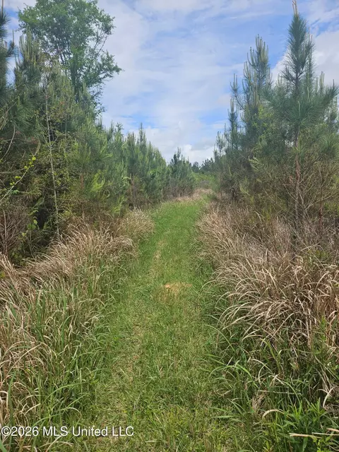 6201 Wesley Powell Rd, Lucedale, MS 39452 photo 7