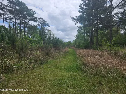 6201 Wesley Powell Rd, Lucedale, MS 39452 photo 4