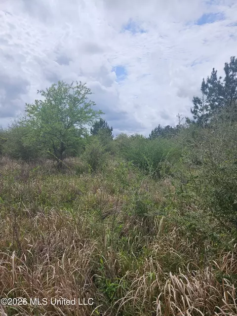 6201 Wesley Powell Rd, Lucedale, MS 39452 photo 8