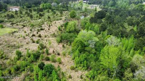 6201 Wesley Powell Rd, Lucedale, MS 39452 photo 17