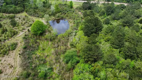 6201 Wesley Powell Rd, Lucedale, MS 39452 photo 16