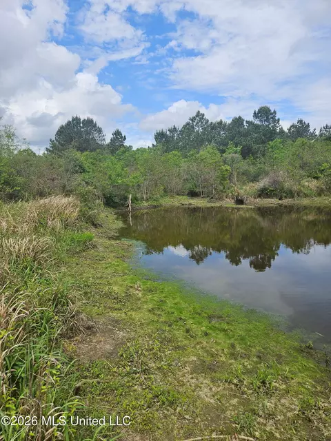 6201 Wesley Powell Rd, Lucedale, MS 39452 photo 3