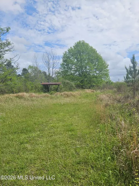 6201 Wesley Powell Rd, Lucedale, MS 39452 photo 5