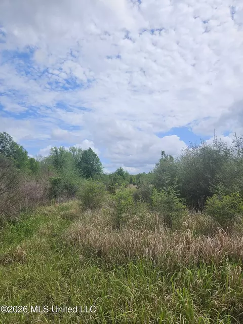 6201 Wesley Powell Rd, Lucedale, MS 39452 photo 9