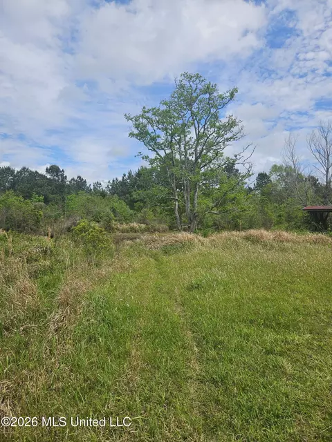 6201 Wesley Powell Rd, Lucedale, MS 39452 photo 6
