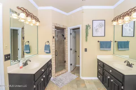 Bath - 75 Moss Woods Dr, Madison, MS 39110 photo 7 of 9