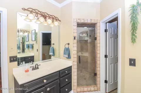 Bath - 75 Moss Woods Dr, Madison, MS 39110 photo 4 of 9