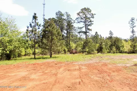 Other - 139 Jones Rd, Lucedale, MS 39452 photo 6 of 6