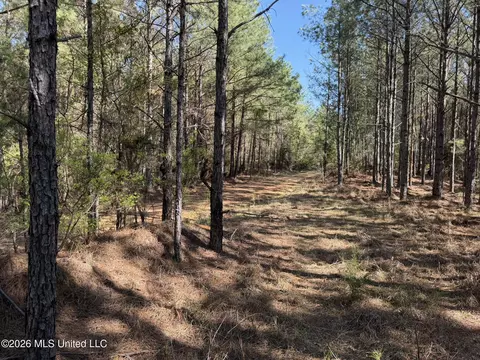 County Road 4103, Sallis, MS 39160 photo 11
