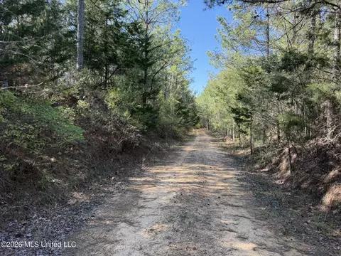 County Road 4103, Sallis, MS 39160 photo 7