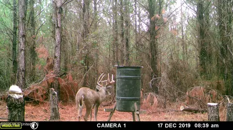 County Road 4103, Sallis, MS 39160 photo 12