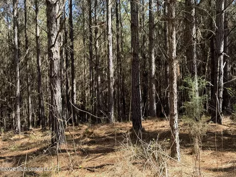 County Road 4103, Sallis, MS 39160 photo 5