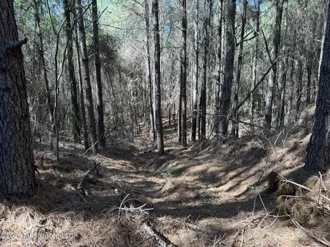 County Road 4103, Sallis, MS 39160 photo 10